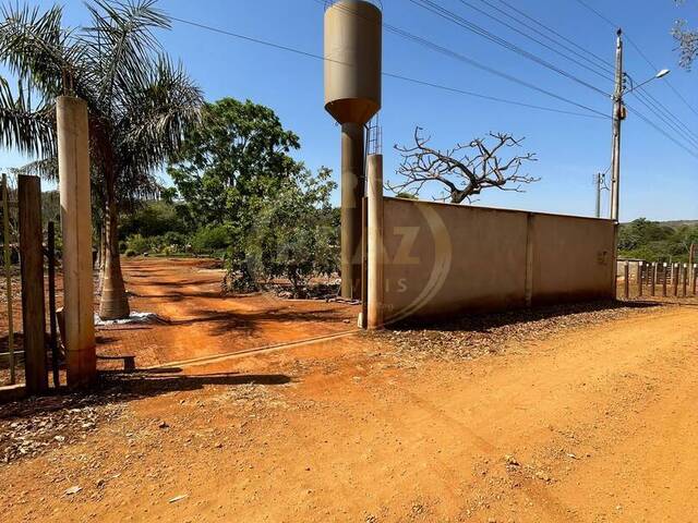 #860 - Chácara para Venda em Luziânia - GO - 3