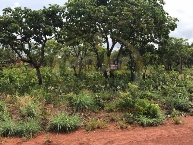 Área para Venda em Luziânia - 4