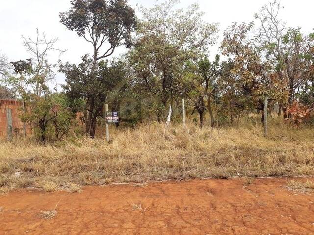 Área para Venda em Luziânia - 4