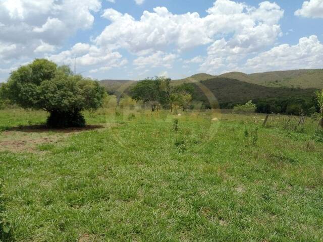 #376 - Fazenda para Venda em Luziânia - GO - 1