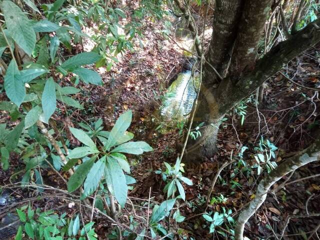 Chácara para Venda em Luziânia - 5