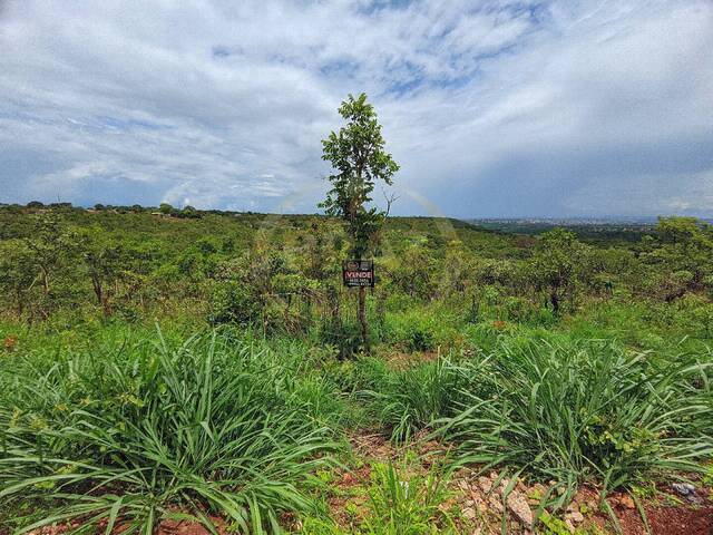 #391 - Área para Venda em Luziânia - GO - 2