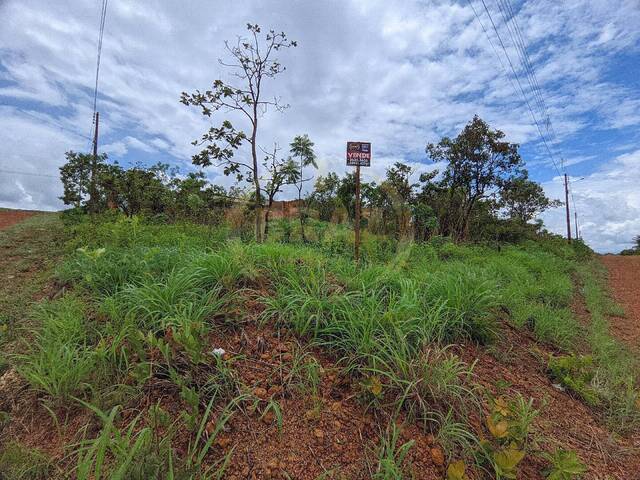 #392 - Área para Venda em Luziânia - GO - 2