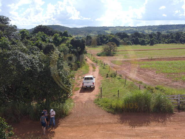 #451 - Fazenda para Venda em Luziânia - GO