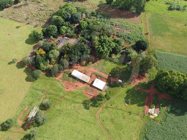 #451 - Fazenda para Venda em Luziânia - GO - 2