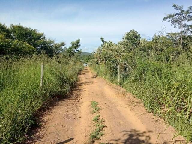 Chácara para Venda em Luziânia - 4
