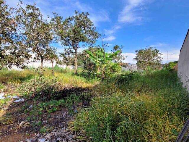 Área para Venda em Luziânia - 5
