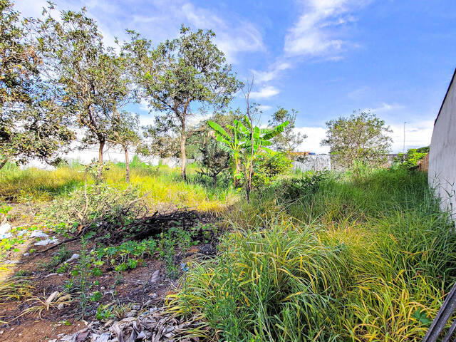 Área para Venda em Luziânia - 5
