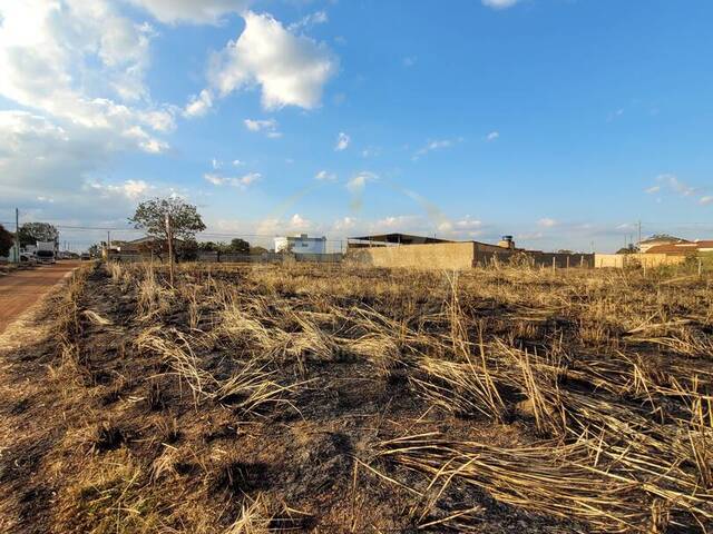Área para Venda em Luziânia - 4
