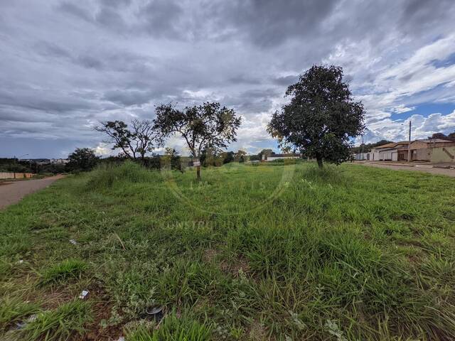 #600 - Área para Venda em Luziânia - GO - 2