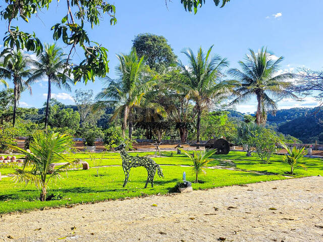 #609 - Fazenda para Venda em Luziânia - GO - 2