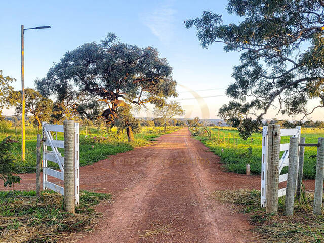 #609 - Fazenda para Venda em Luziânia - GO - 1