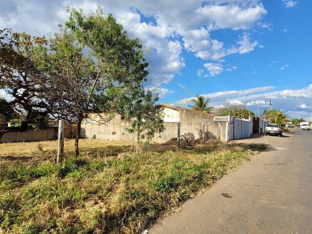 Área para Venda em Luziânia - 5