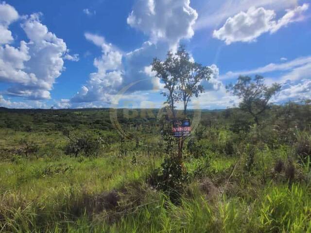 Venda em Zona Rural - Luziânia