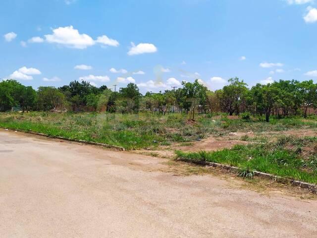 Área para Venda em Luziânia - 4