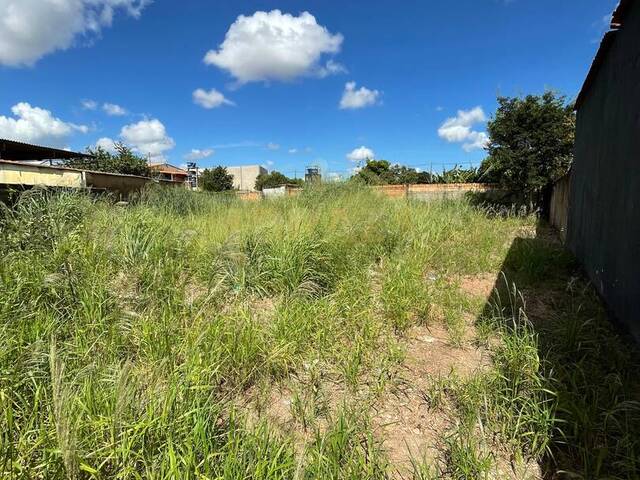 Área para Venda em Luziânia - 4