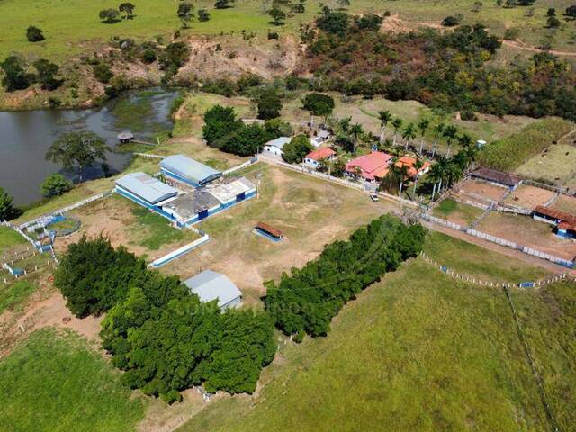 #715 - Fazenda para Venda em Luziânia - GO - 2
