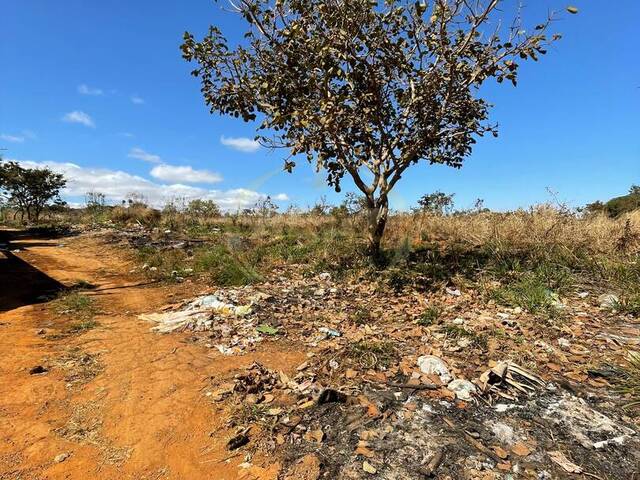 #729 - Área para Venda em Luziânia - GO - 3