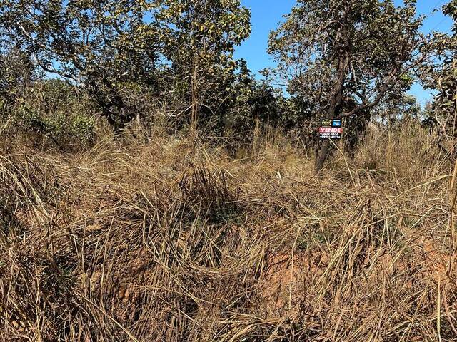 #730 - Área para Venda em Luziânia - GO - 3
