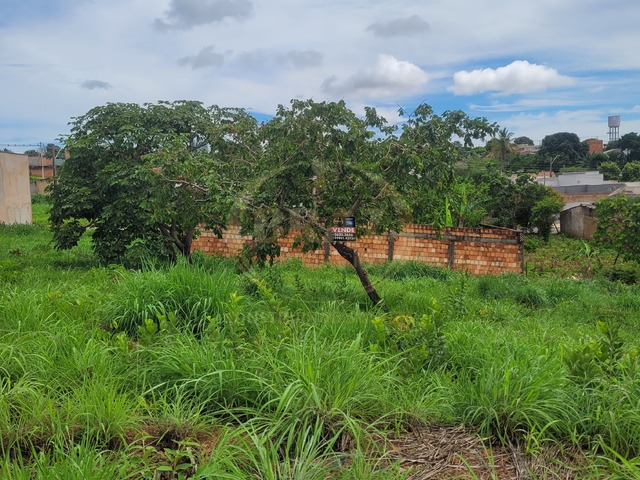#774 - Área para Venda em Luziânia - GO - 3
