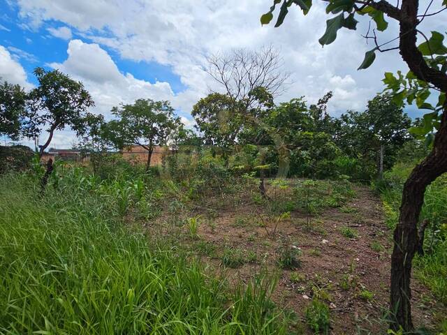 Área para Venda em Luziânia - 4