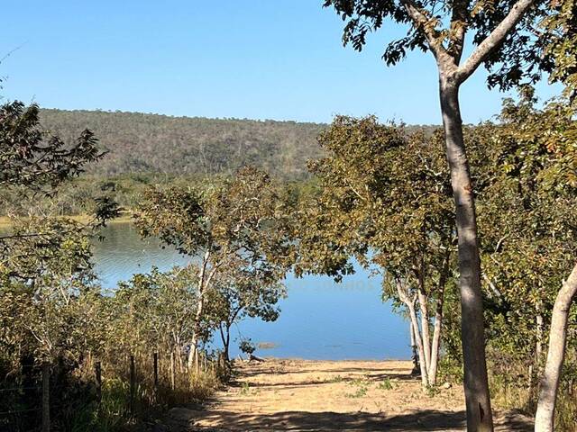 Fazenda para Venda em Luziânia - 5