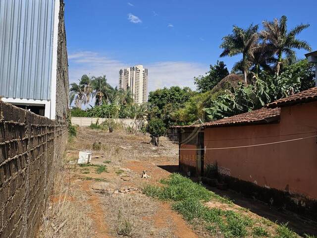 Venda em Centro - Luziânia