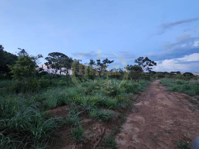 #865 - Área para Venda em Luziânia - GO - 3