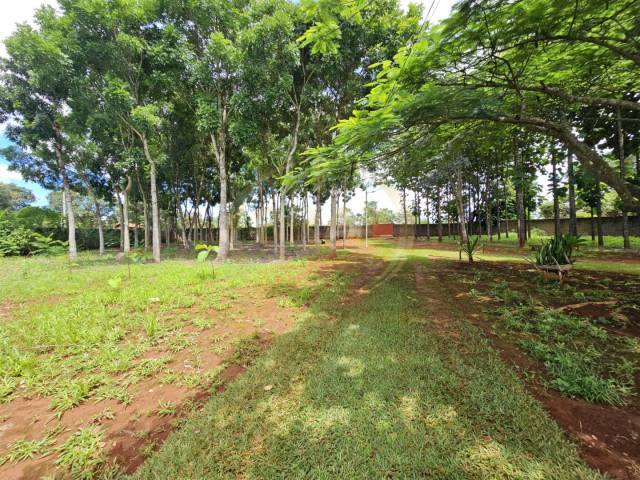 #870 - Chácara para Venda em Luziânia - GO - 3