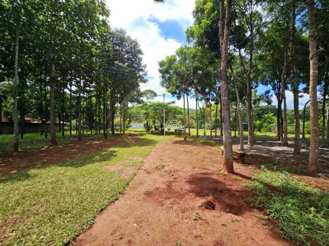 Chácara para Venda em Luziânia - 4