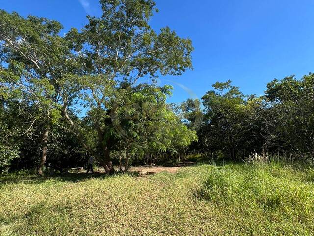 #875 - Chácara para Venda em Luziânia - GO - 2