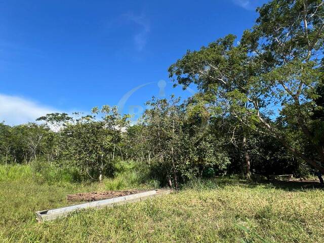 Chácara para Venda em Luziânia - 5