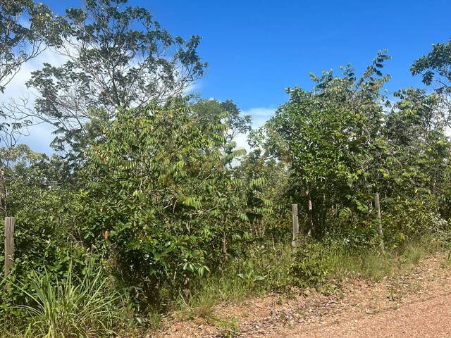 #875 - Chácara para Venda em Luziânia - GO - 1