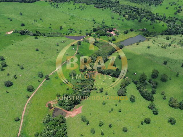 #877 - Chácara para Venda em Urutaí - GO - 2