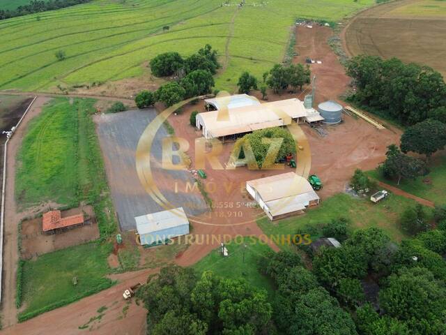#886 - Fazenda para Venda em Luziânia - GO - 1