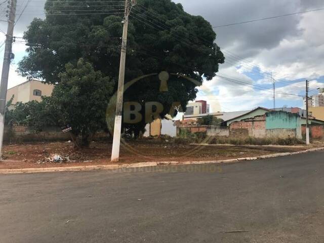 #216 - Área para Venda em Luziânia - GO - 3